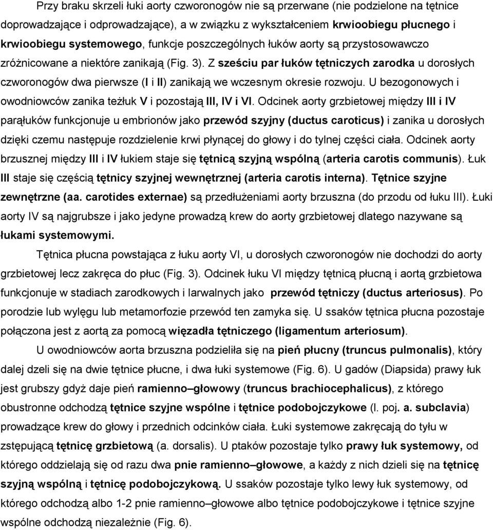 Z sześciu par łuków tętniczych zarodka u dorosłych czworonogów dwa pierwsze (I i II) zanikają we wczesnym okresie rozwoju. U bezogonowych i owodniowców zanika teżłuk V i pozostają III, IV i VI.