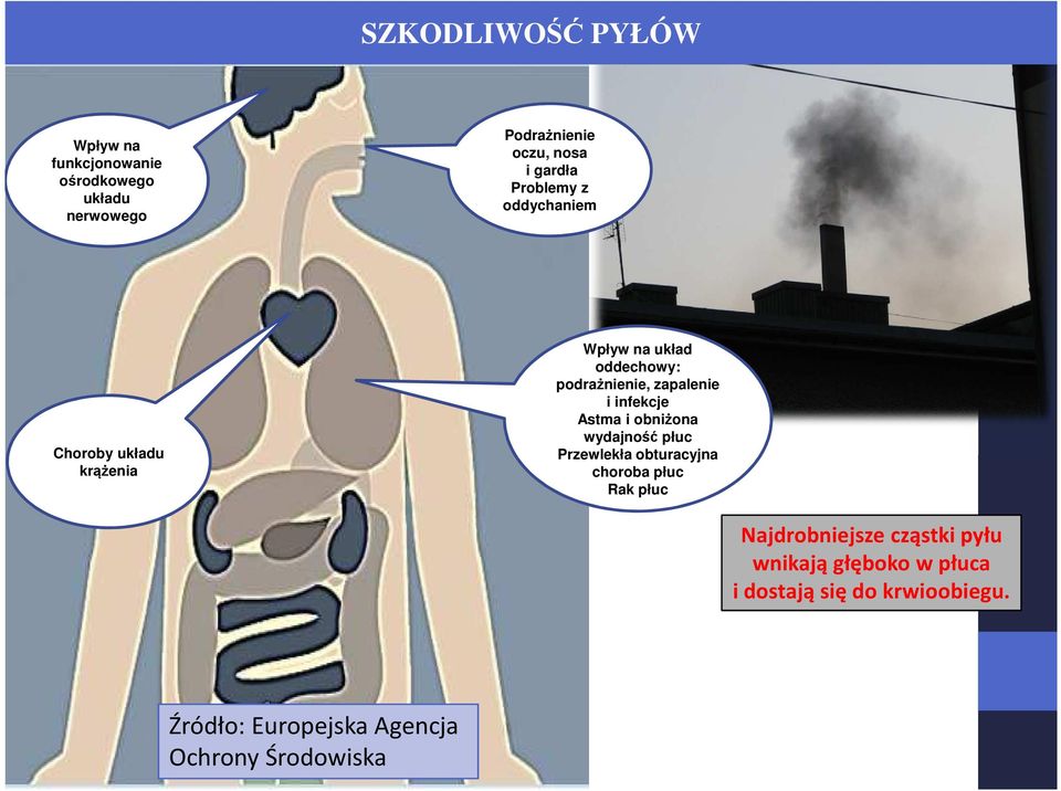 obniżona wydajność płuc Przewlekła obturacyjna choroba płuc Rak płuc Najdrobniejsze cząstki pyłu wnikają głęboko