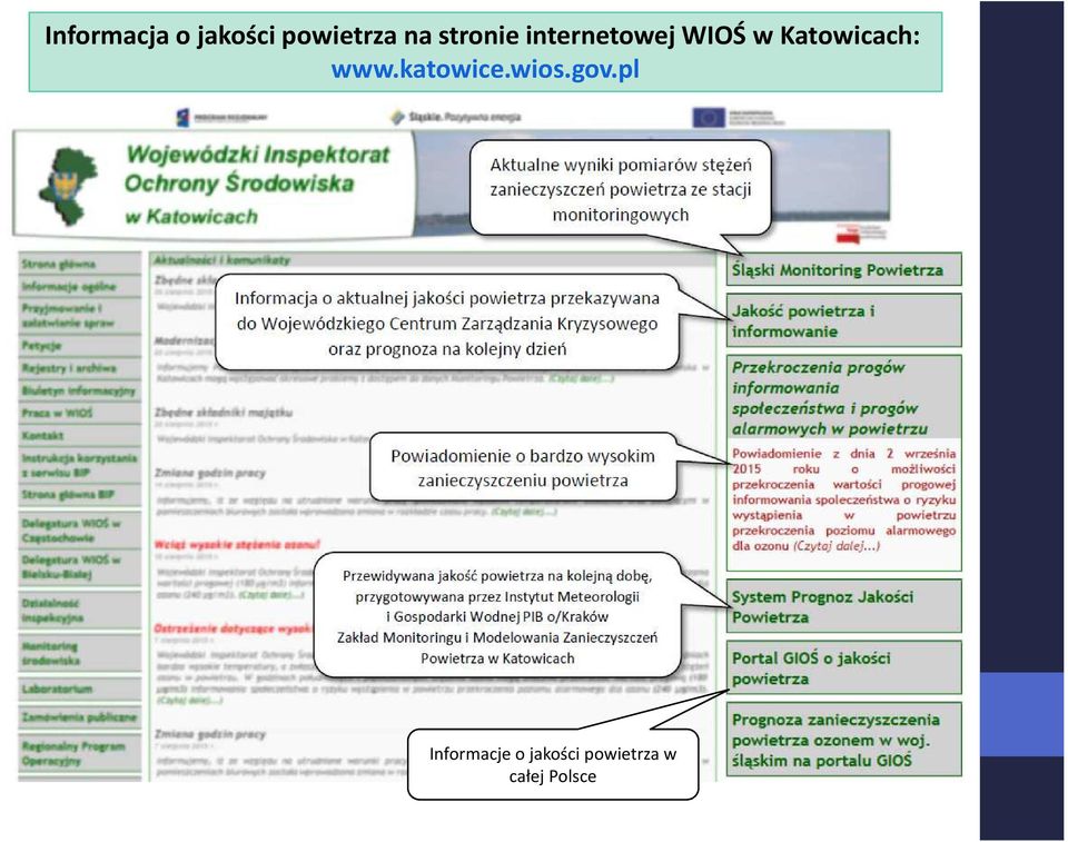 Katowicach: www.katowice.wios.gov.
