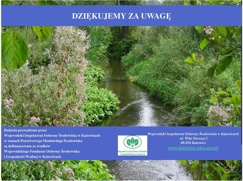 Wojewódzkiego Funduszu Ochrony Środowiska i Gospodarki Wodnej w Katowicach Wojewódzki
