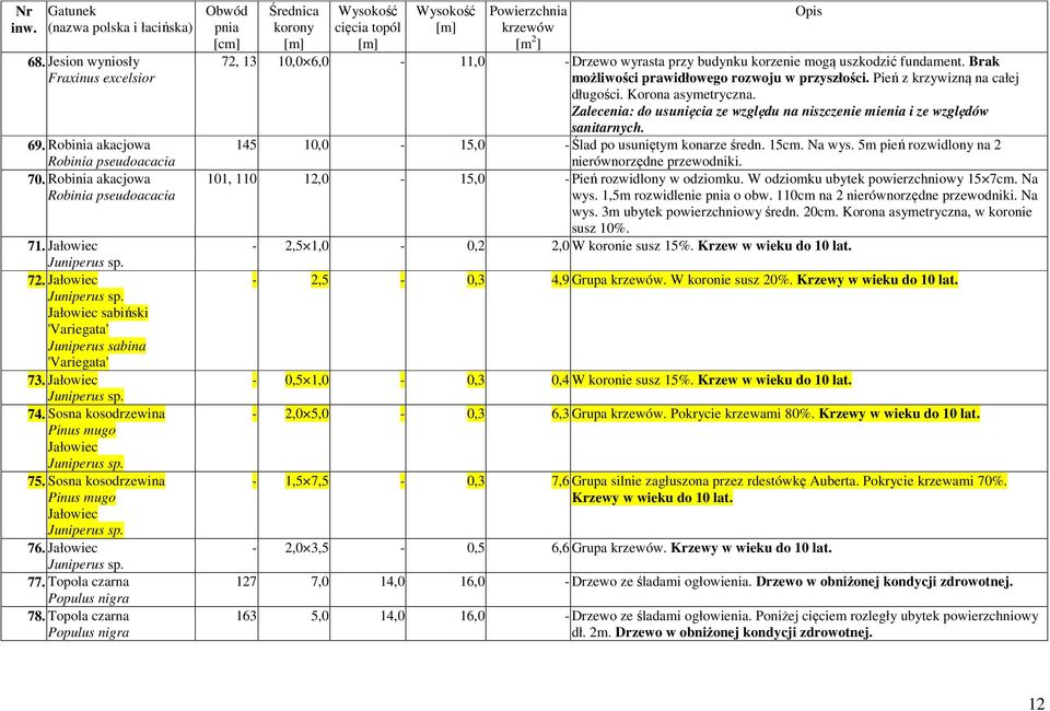 Sosna kosodrzewina Pinus mugo Jałowiec Juniperus sp. 76. Jałowiec Juniperus sp. 77. Topola czarna 78.