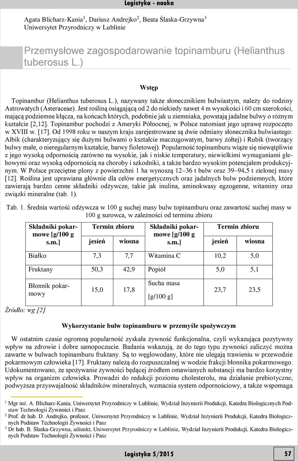 Jest rośliną osiągającą od 2 do niekiedy nawet 4 m wysokości i 60 cm szerokości, mającą podziemne kłącza, na końcach których, podobnie jak u ziemniaka, powstają jadalne bulwy o różnym kształcie