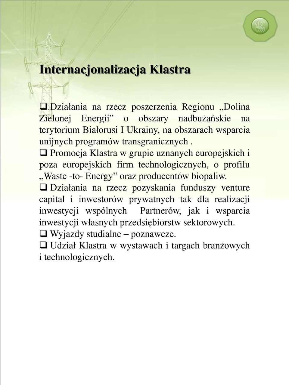 programów transgranicznych.