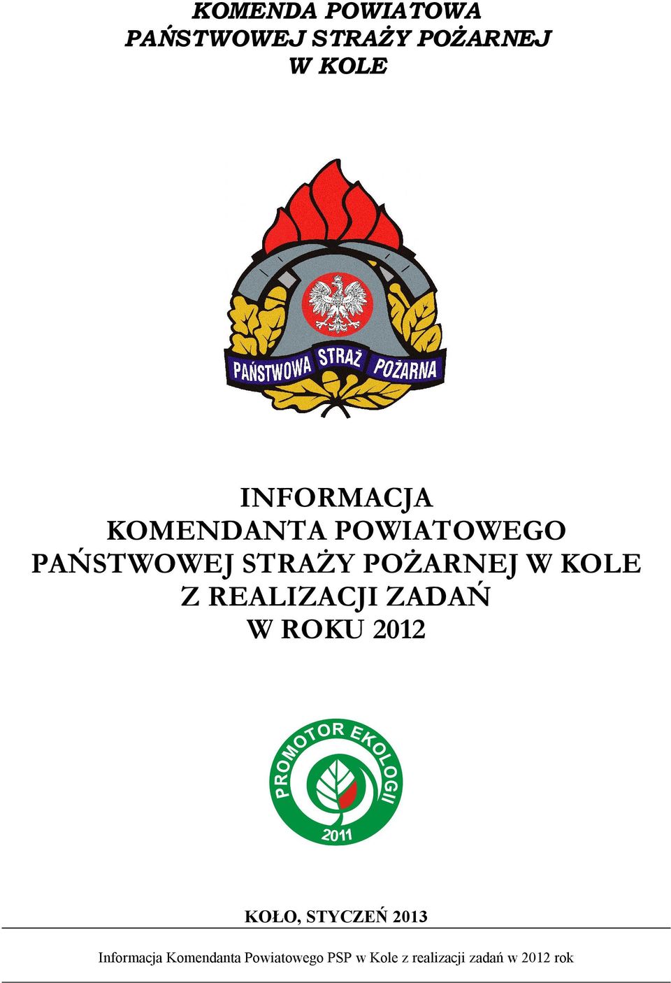 W KOLE Z REALIZACJI ZADAŃ W ROKU 2012 KOŁO, STYCZEŃ 2013