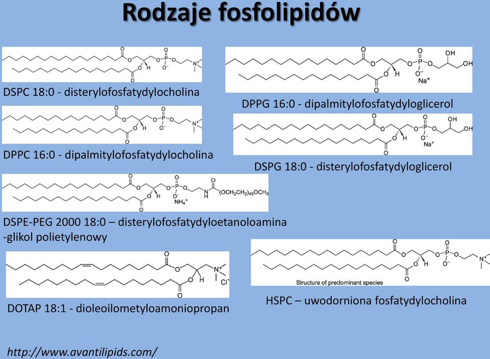 disterylofosfatydyloglicerol DSPE-PEG 2000 18:0 disterylofosfatydyloetanoloamina -glikol