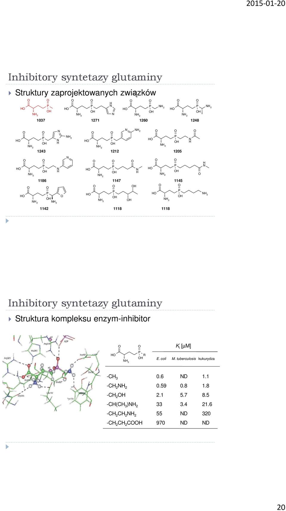 1118 Inhibitory syntetazy glutaminy Struktura kompleksu enzym-inhibitor H R H K i [µm] E. coli M.