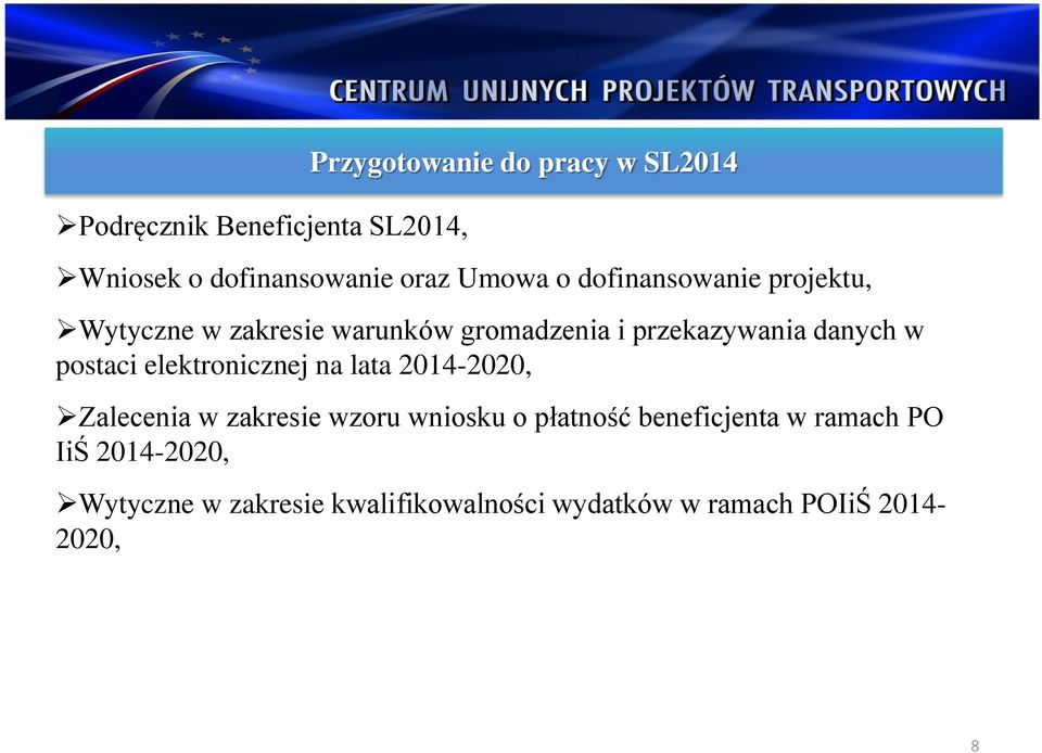 postaci elektronicznej na lata 2014-2020, Zalecenia w zakresie wzoru wniosku o płatność