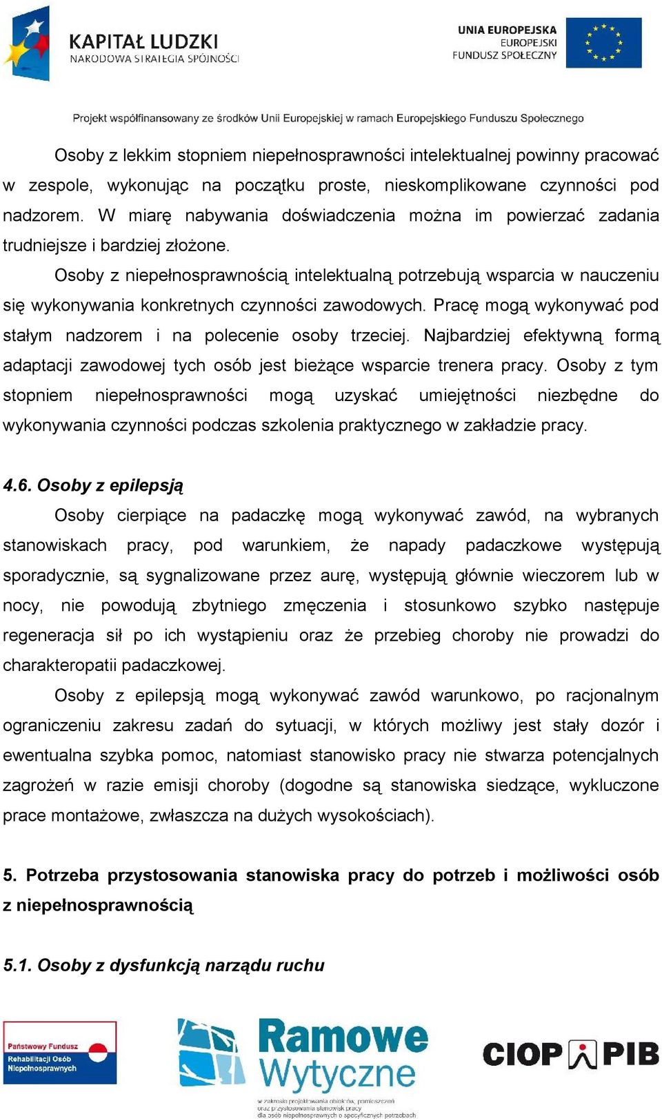 Osoby z niepełnosprawnością intelektualną potrzebują wsparcia w nauczeniu się wykonywania konkretnych czynności zawodowych. Pracę mogą wykonywać pod stałym nadzorem i na polecenie osoby trzeciej.