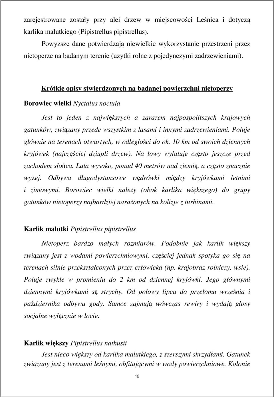 Krótkie opisy stwierdzonych na badanej powierzchni nietoperzy Borowiec wielki Nyctalus noctula Jest to jeden z największych a zarazem najpospolitszych krajowych gatunków, związany przede wszystkim z