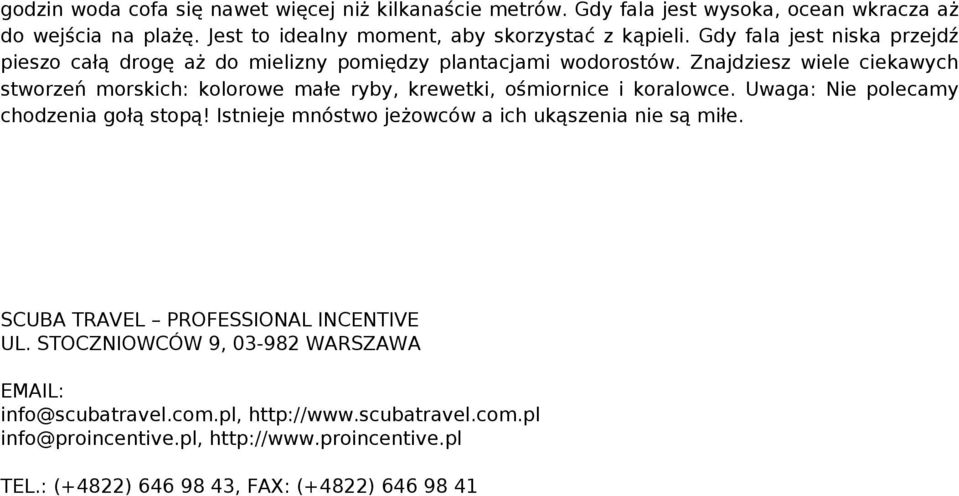 Znajdziesz wiele ciekawych stworzeń morskich: kolorowe małe ryby, krewetki, ośmiornice i koralowce. Uwaga: Nie polecamy chodzenia gołą stopą!