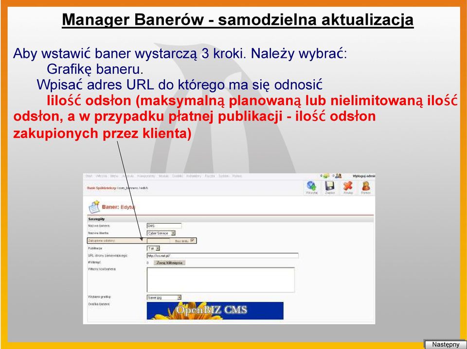 Wpisać adres URL do którego ma się odnosić Iilość odsłon (maksymalną