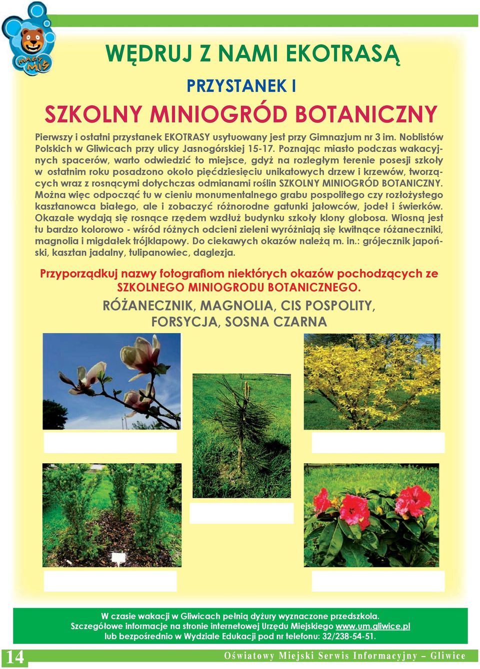 Poznając miasto podczas wakacyjnych spacerów, warto odwiedzić to miejsce, gdyż na rozległym terenie posesji szkoły w ostatnim roku posadzono około pięćdziesięciu unikatowych drzew i krzewów,