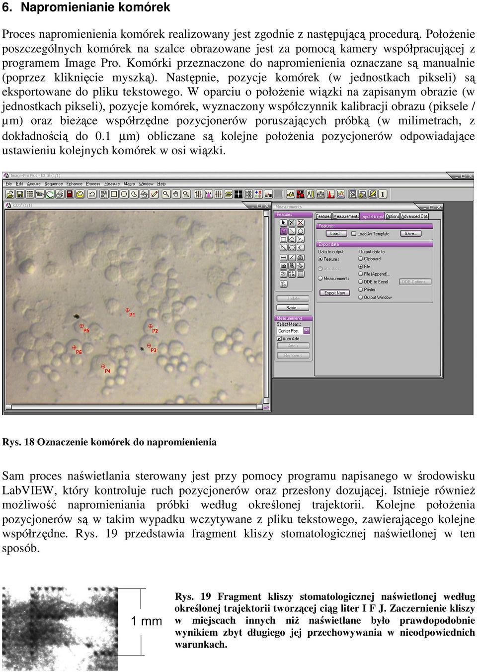 Komórki przeznaczone do napromienienia oznaczane są manualnie (poprzez kliknięcie myszką). Następnie, pozycje komórek (w jednostkach pikseli) są eksportowane do pliku tekstowego.