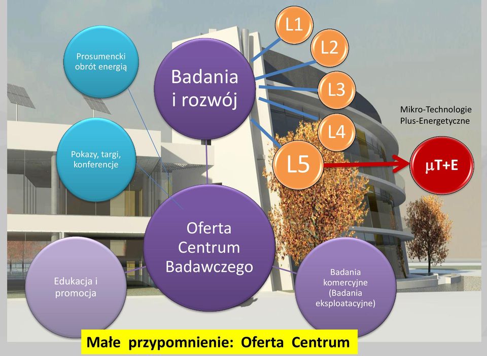 L5 mt+e Edukacja i promocja Oferta Centrum Badawczego Badania