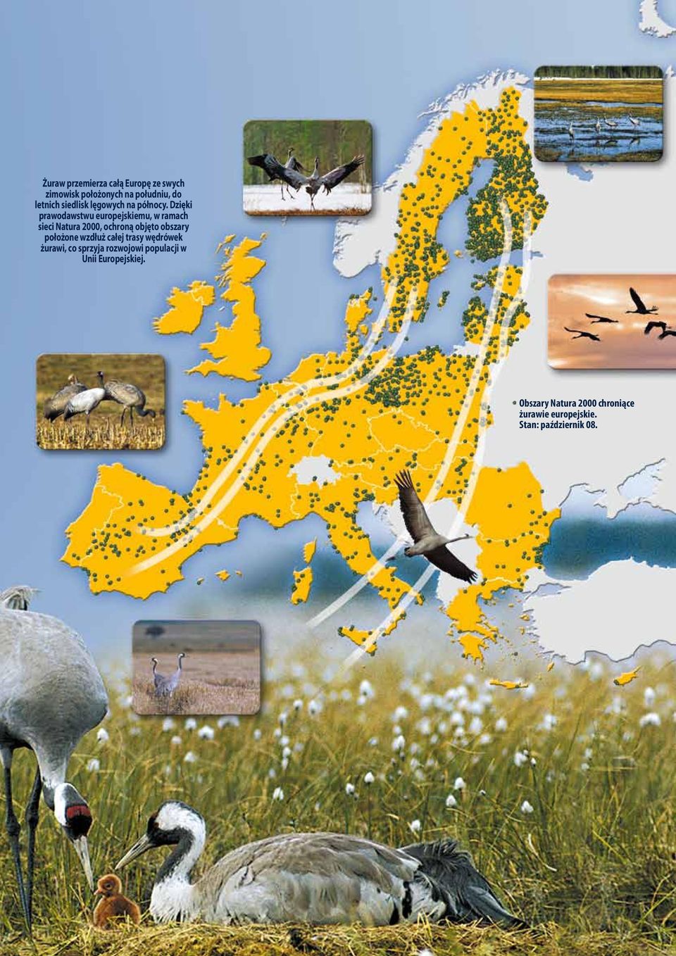 Dzięki prawodawstwu europejskiemu, w ramach sieci Natura 2000, ochroną objęto obszary