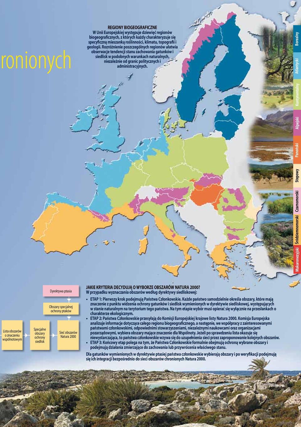 Rozróżnienie poszczególnych regionów ułatwia obserwacje tendencji stanu zachowania gatunków i siedlisk w podobnych warunkach naturalnych, niezależnie od granic politycznych i administracyjnych.