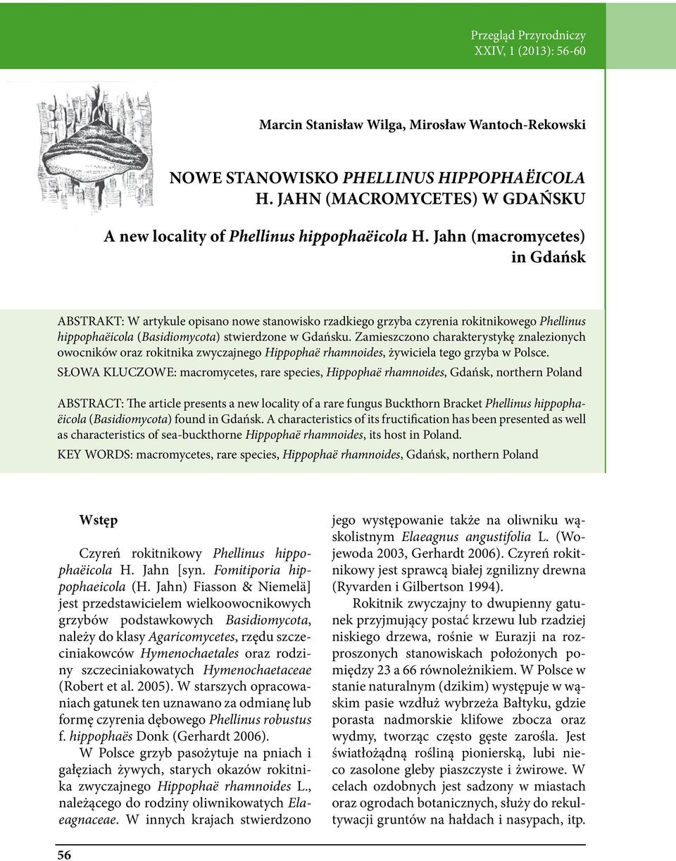 Jahn (macromycetes) in Gdańsk ABSTRAKT: W artykule opisano nowe stanowisko rzadkiego grzyba czyrenia rokitnikowego Phellinus hippophaëicola (Basidiomycota) stwierdzone w Gdańsku.