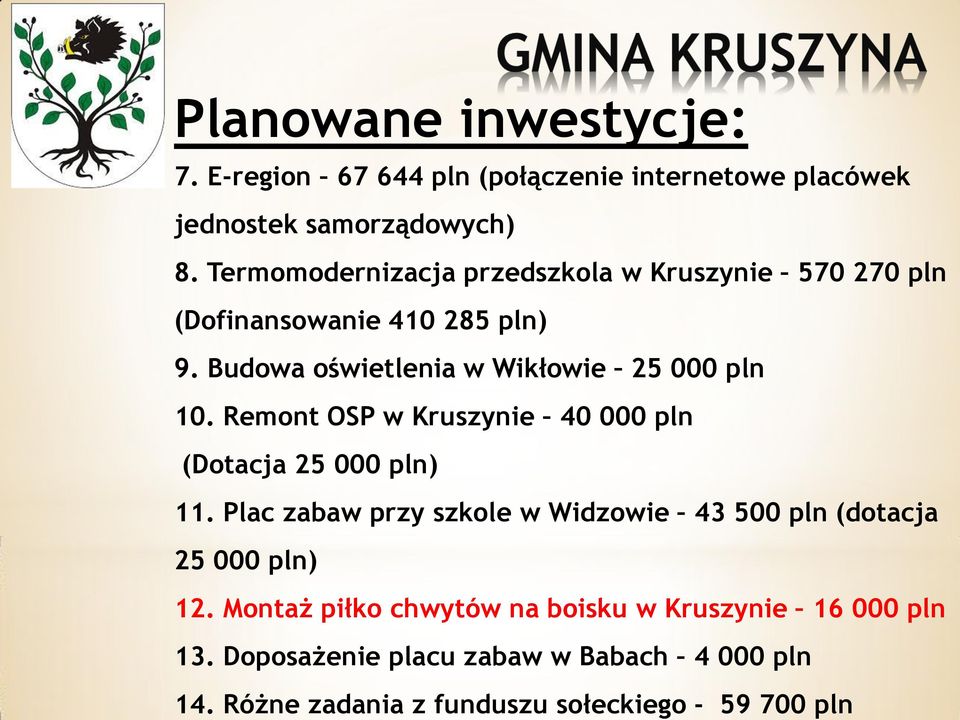 Remont OSP w Kruszynie 40 000 pln (Dotacja 25 000 pln) 11. Plac zabaw przy szkole w Widzowie 43 500 pln (dotacja 25 000 pln) 12.