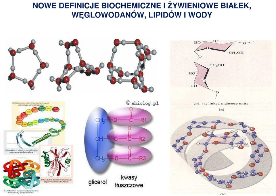 śywieniowe BIAŁEK,