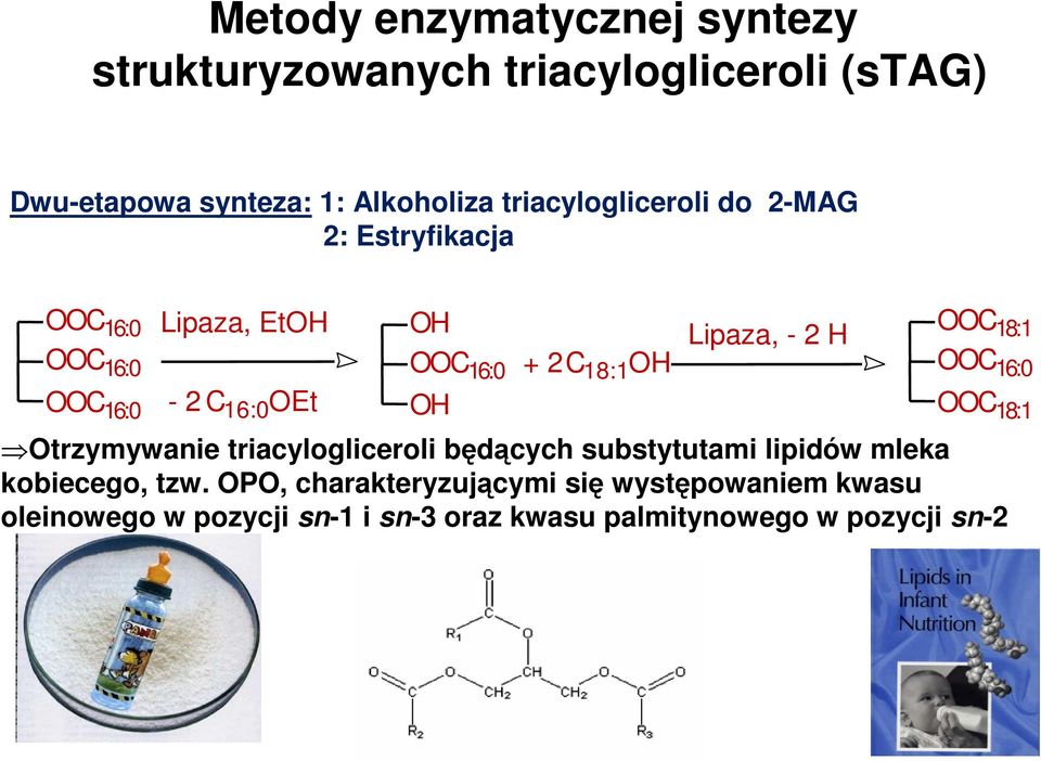 18:1 OH Lipaza, - 2 H OOC 18:1 OOC 16:0 OOC 18:1 Otrzymywanie triacylogliceroli będących substytutami lipidów mleka