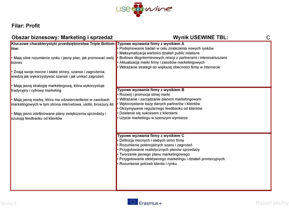 Aktualizacja marki firmy i zasobów marketingowych Wdrażanie strategii do większej obecności firmy w internecie Mają jasną strategię marketingową, która wykorzystuje tradycyjny i cyfrowy marketing