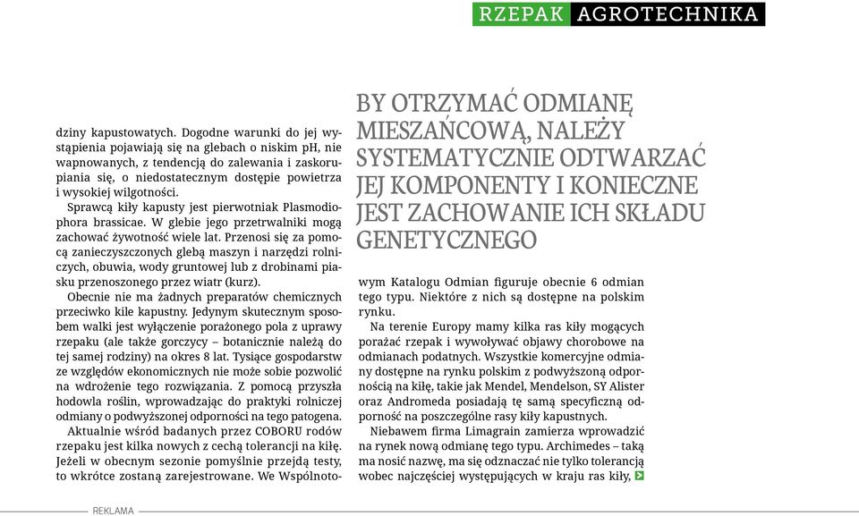 Sprawcą kiły kapusty jest pierwotniak Plasmodiophora brassicae. W glebie jego przetrwalniki mogą zachować żywotność wiele lat.