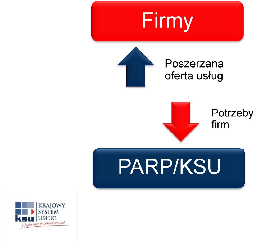 oferta usług