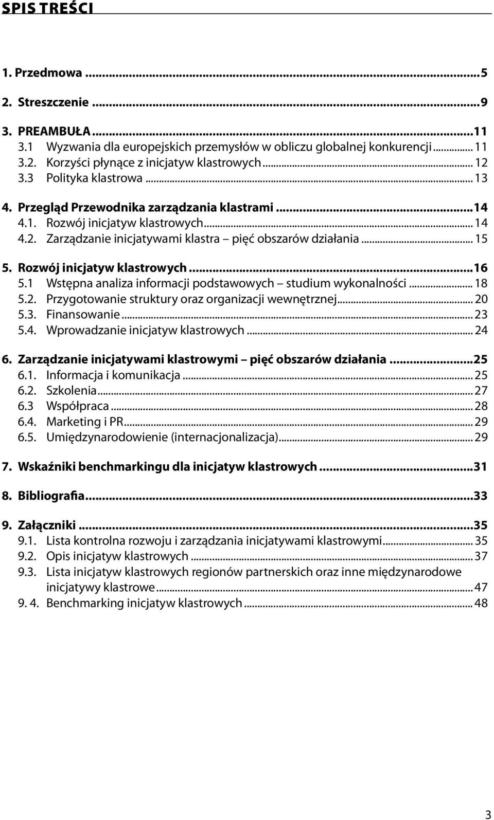 Rozwój inicjatyw klastrowych...16 5.1 Wstępna analiza informacji podstawowych studium wykonalności... 18 5.2. Przygotowanie struktury oraz organizacji wewnętrznej... 20 5.3. Finansowanie... 23 5.4.