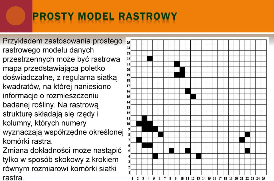 rośliny.