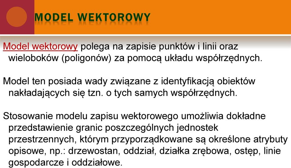 Stosowanie modelu zapisu wektorowego umożliwia dokładne przedstawienie granic poszczególnych jednostek przestrzennych,