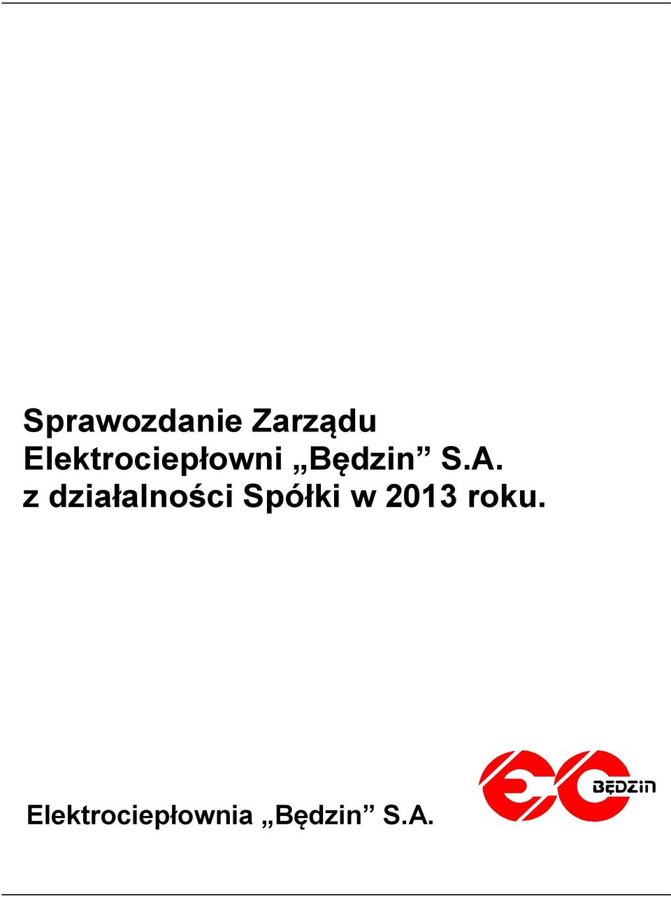 z działalności Spółki w 2013