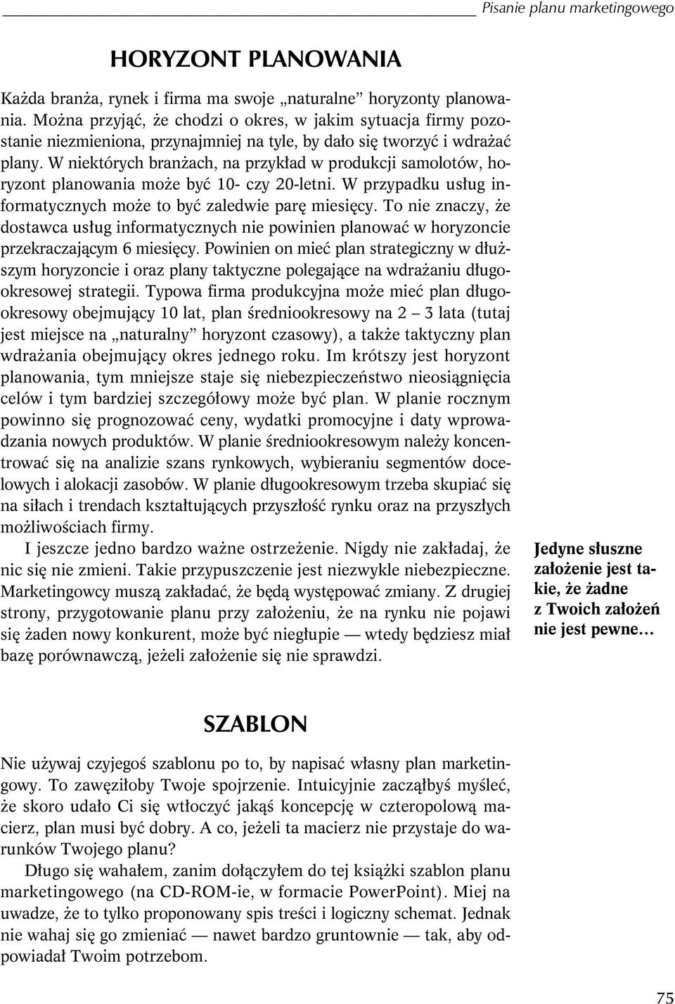 W niektórych branżach, na przykład w produkcji samolotów, horyzont planowania może być 10- czy 20-letni. W przypadku usług informatycznych może to być zaledwie parę miesięcy.