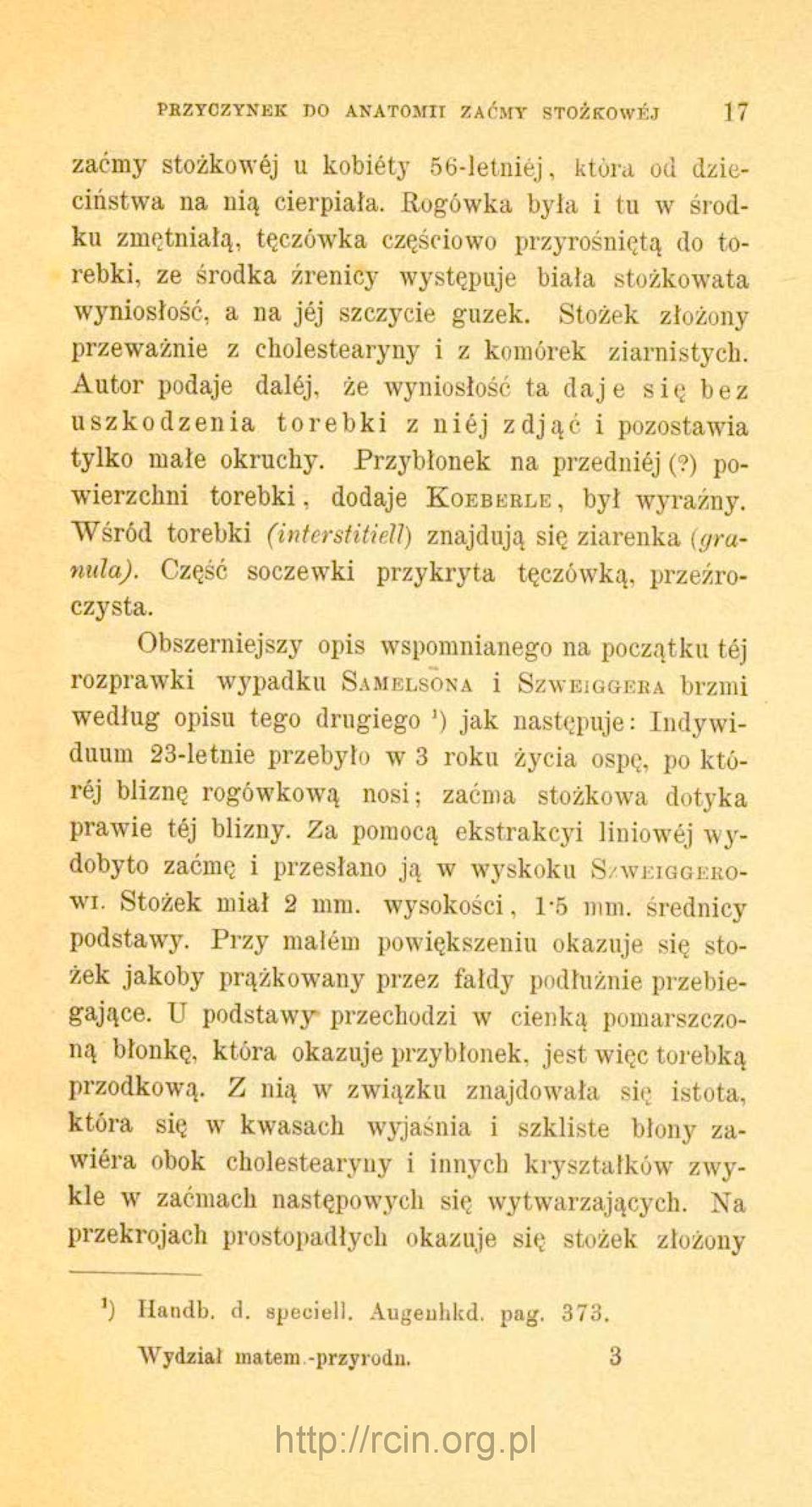 Stożek złożony przeważnie z cholestearyny i z komórek ziarnistych. Autor podaje dalej, że wyniosłość ta daj e się bez uszkodzenia torebki z niej zdjąć i pozostawia tylko małe okruchy.