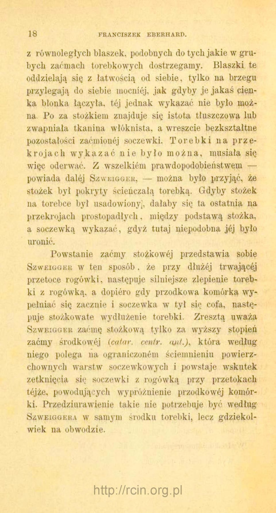 Po za stożkiem znajduje się istota tłuszczowa lub zwapniała tkanina włóknista, a wreszcie bezkształtne pozostałości zaćmionej soczewki.