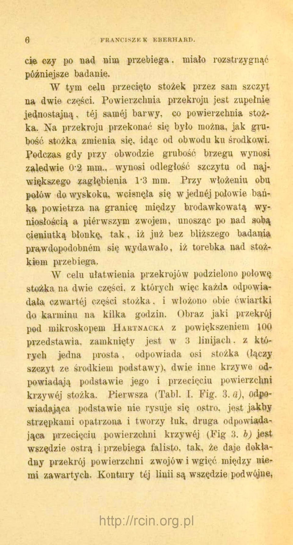 Na przekroju przekonać się było można, jak grubość stożka zmienia się, idąc od obwodu ku środkowi, podczas gdy przy obwodzie grubość brzegu wynosi zaledwie 0-2 mm.