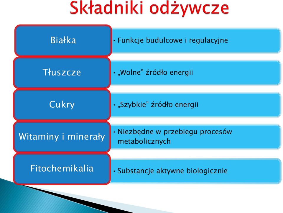 Witaminy i minerały Niezbędne w przebiegu procesów