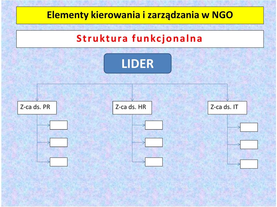 LIDER Z-ca ds.