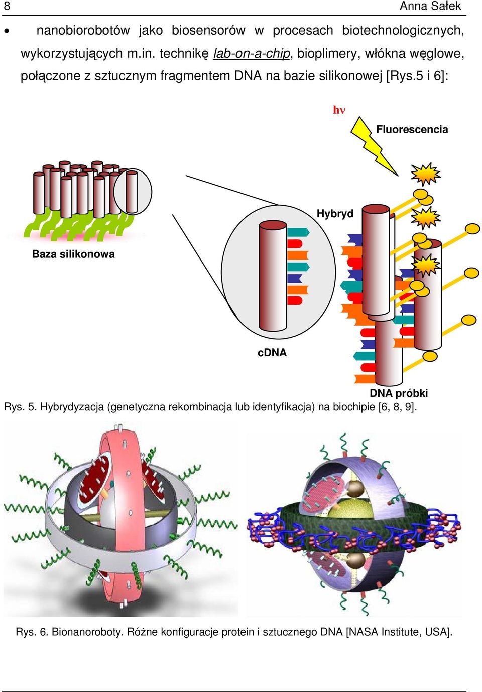 5 i 6]: hν Fluorescencja Hybryd Baza silikonowa cdna DNA próbki Rys. 5.