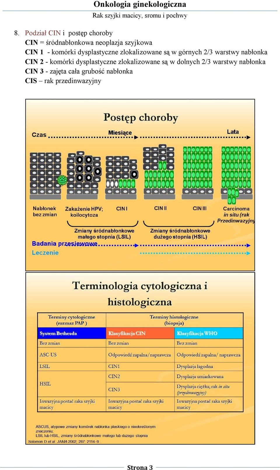 nabłonka CIN 2 - komórki dysplastyczne zlokalizowane są w dolnych 2/3