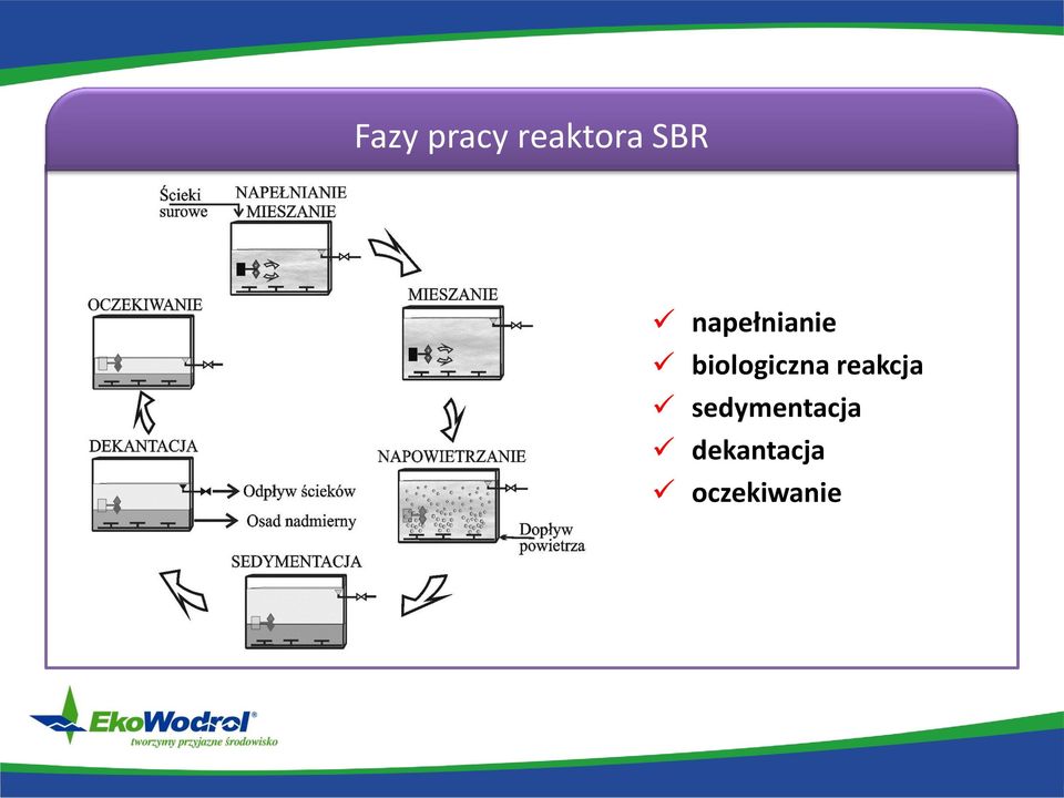 biologiczna reakcja