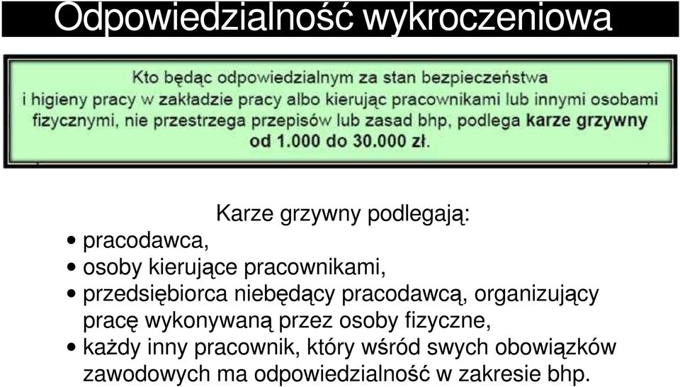 organizujący pracę wykonywaną przez osoby fizyczne, każdy inny