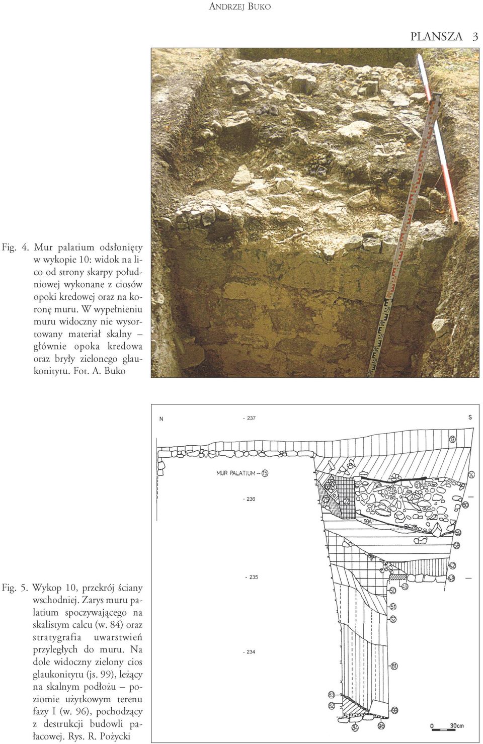 W wypełnieniu muru widoczny nie wysortowany materiał skalny - głównie opoka kredowa oraz bryły zielonego glaukonitytu. Fot. A. Buko Fig. 5.