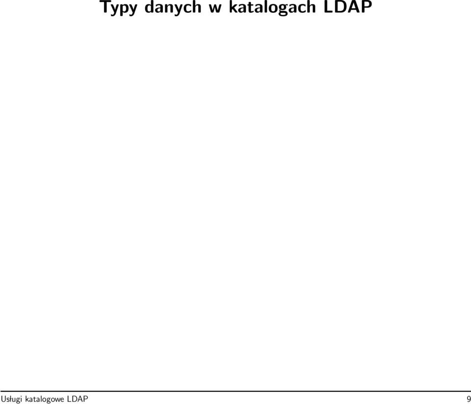 LDAP Us lugi