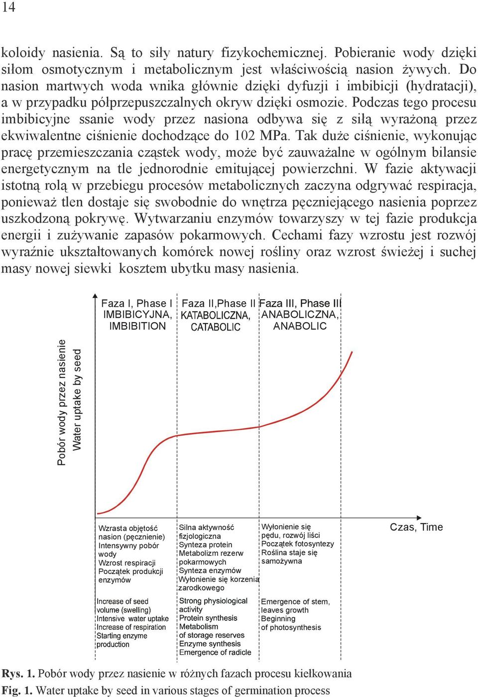 Podczas tego procesu imbibicyjne ssanie wody przez nasiona odbywa si z si wyra on przez ekwiwalentne ci nienie dochodz ce do 102 MPa.