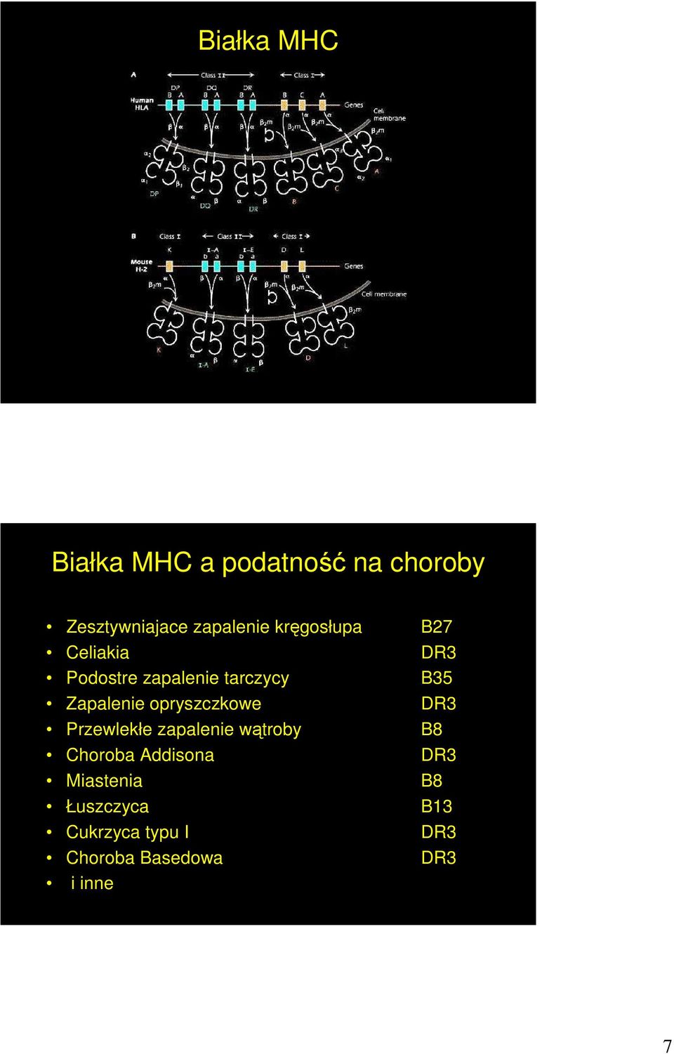 opryszczkowe DR3 Przewlekłe zapalenie wątroby B8 Choroba Addisona DR3