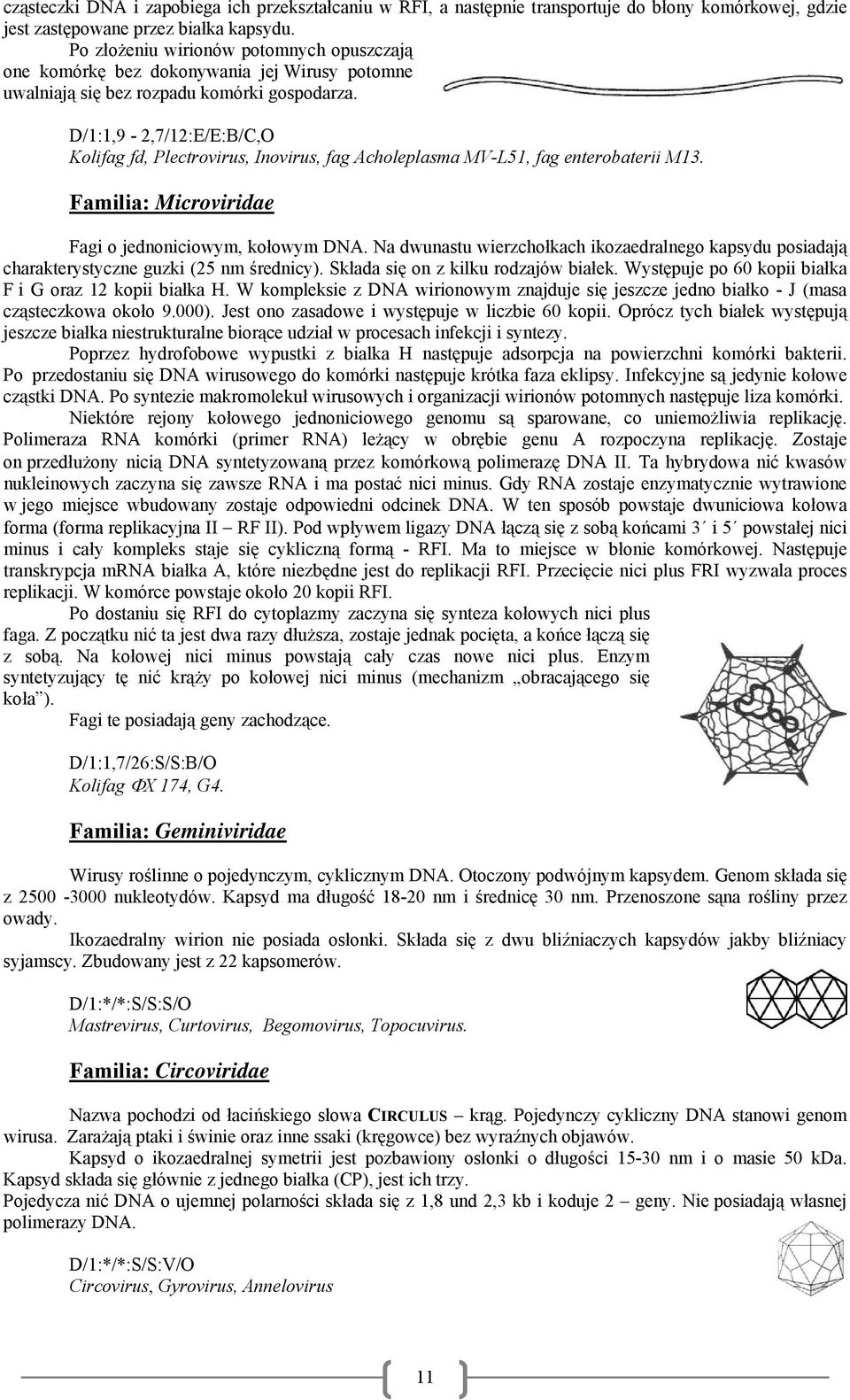 D/1:1,9-2,7/12:E/E:B/C,O Kolifag fd, Plectrovirus, Inovirus, fag Acholeplasma MV-L51, fag enterobaterii M13. Familia: Microviridae Fagi o jednoniciowym, kołowym DNA.