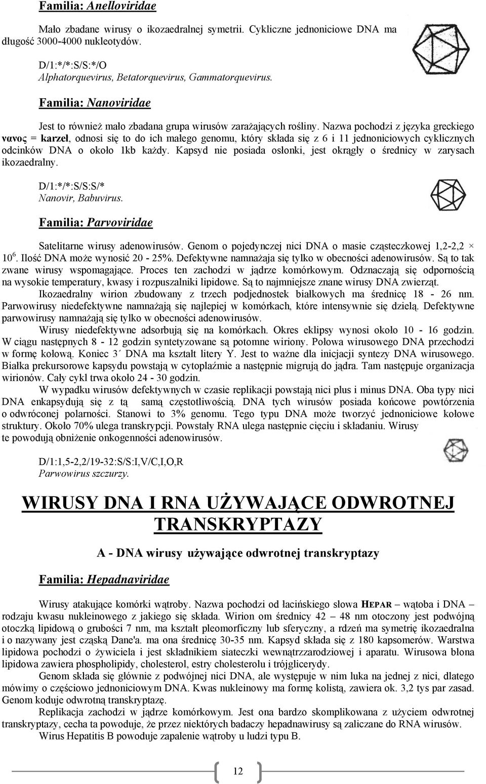 Nazwa pochodzi z języka greckiego νανος = karzeł, odnosi się to do ich małego genomu, który składa się z 6 i 11 jednoniciowych cyklicznych odcinków DNA o około 1kb każdy.