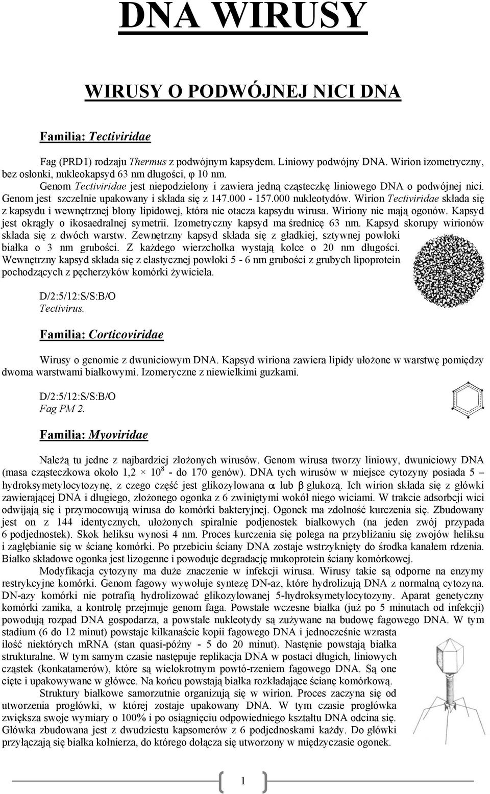 Genom jest szczelnie upakowany i składa się z 147.000-157.000 nukleotydów. Wirion Tectiviridae składa się z kapsydu i wewnętrznej błony lipidowej, która nie otacza kapsydu wirusa.