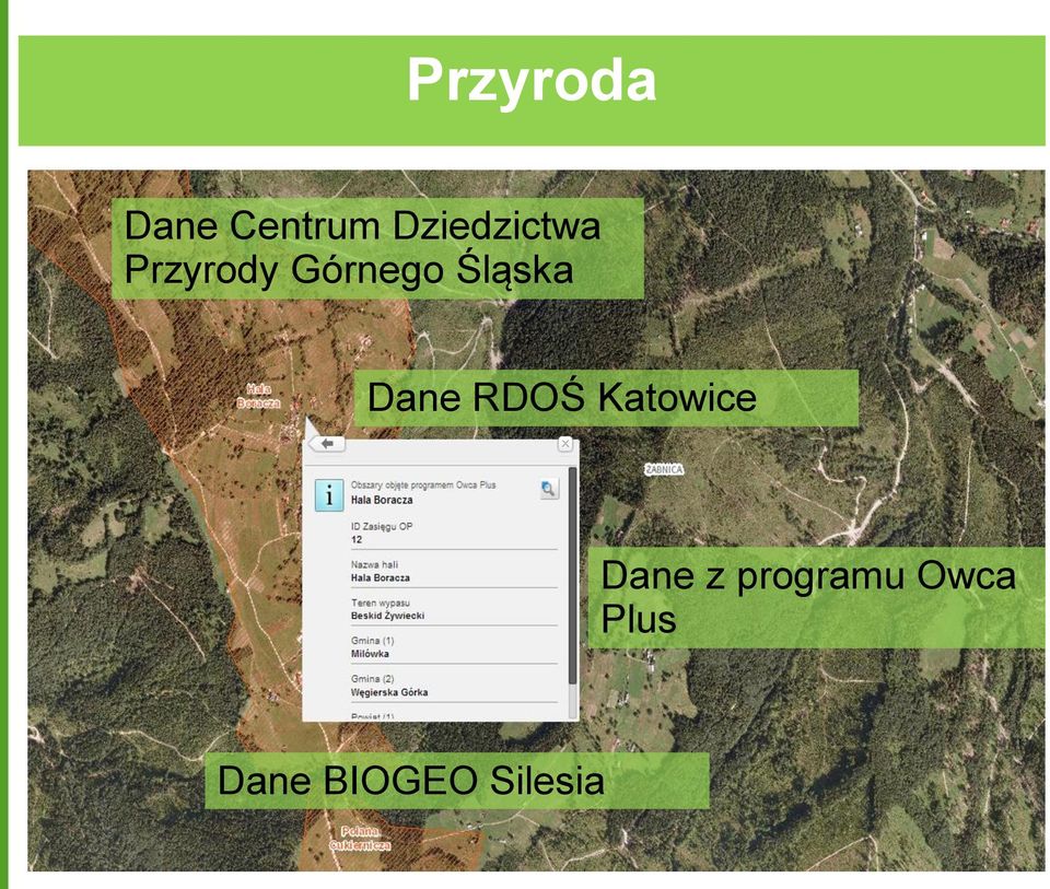 Śląska Dane RDOŚ Katowice Dane