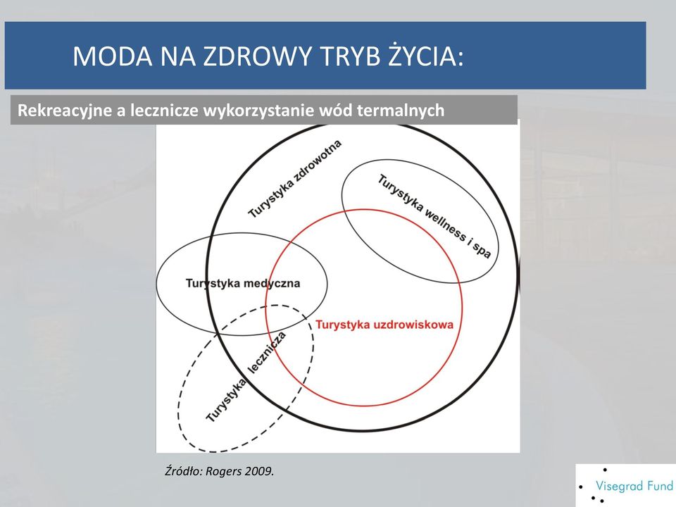 lecznicze wykorzystanie